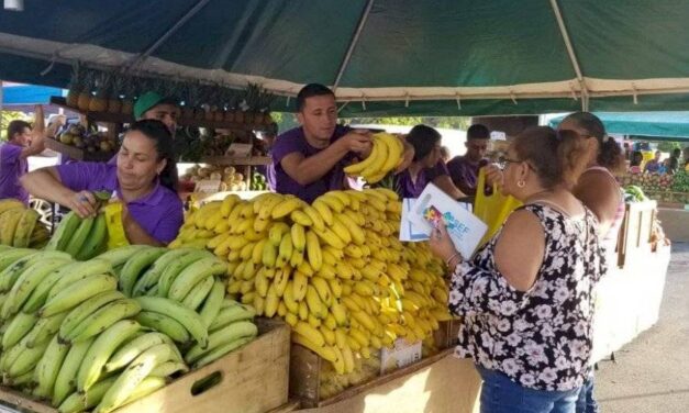 Acuerdan ampliar mercados familiares a los 78 municipios de Puerto Rico