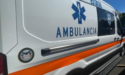 Accidentes de auto en Camuy, Vega Baja y Toa Alta