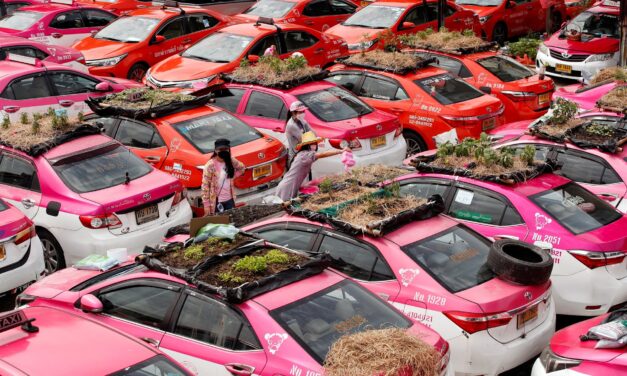 Taxis abandonados en Tailandia son convieridos en huerto para combatir la crisis económica
