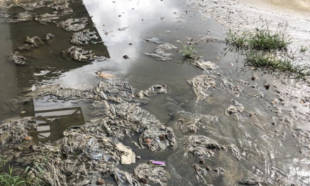 Denuncian que aguas residuales afectan instalaciones municipales en Naranjito