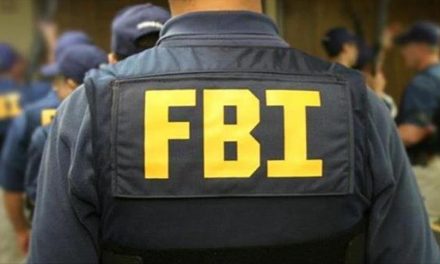 Federales realizan arrestos por fraude al PUA
