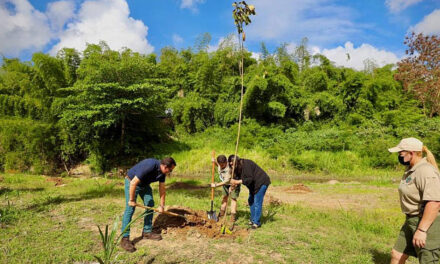 Siembran 200 árboles para apoyar el Planeta