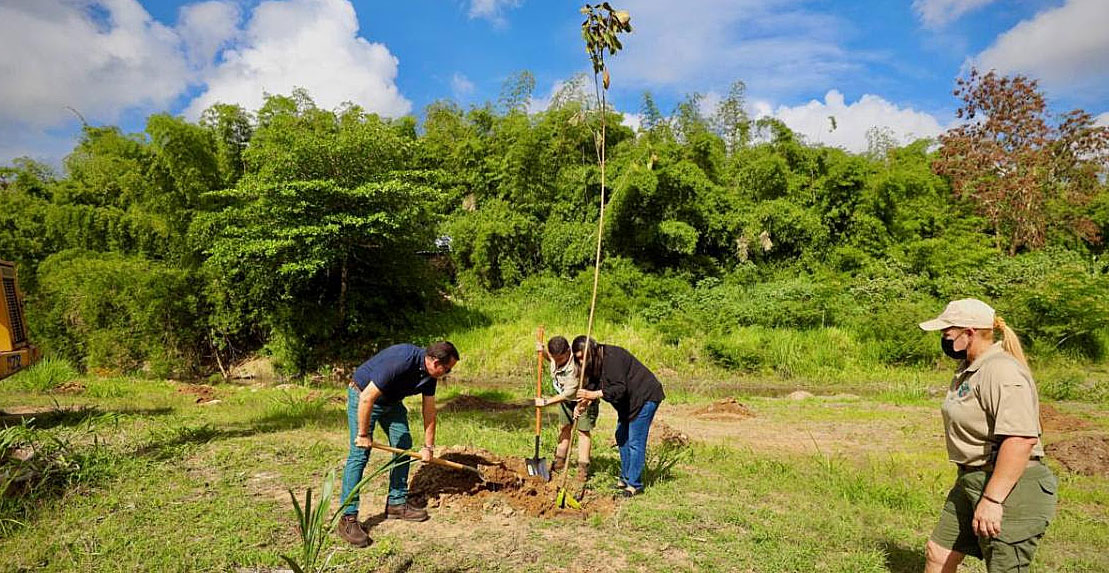 Siembran 200 árboles para apoyar el Planeta