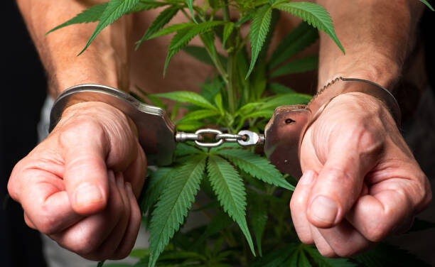 Estados Unidos perdonará a todos los condenados por posesión de marihuana