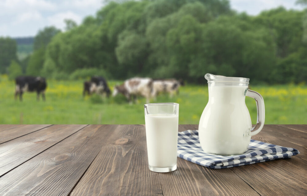 Presentan ante la legislatira una fórmula para aumentar el precio de la leche