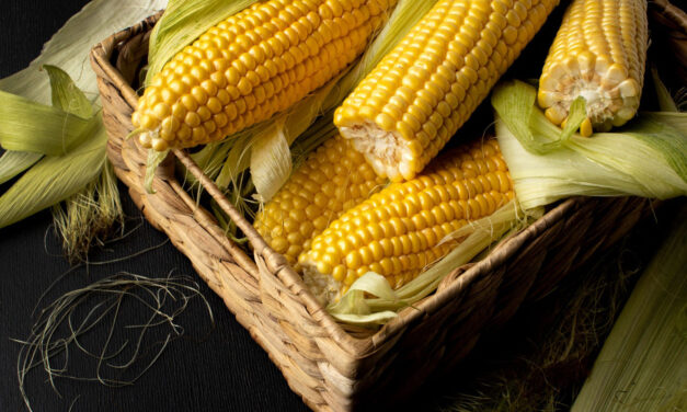 Siembra maíz dulce en casa