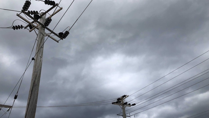 Sin servicio eléctrico varios municipios tras vaguada