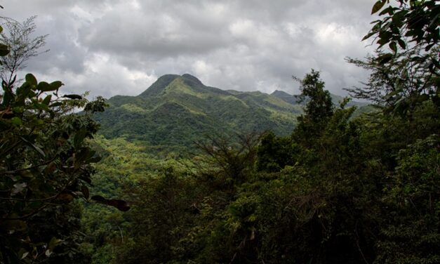 Reabren parcialmente áreas recreativas de El Yunque en Río Grande