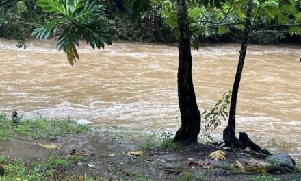 Autoridades intervienen con compañía que pretendía llevar turistas a ver cascada en río en Ceiba