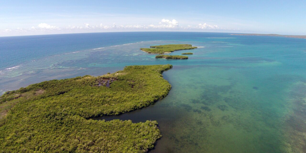El DRNA anuncia la Semana de los Arrecifes de Coral con actividades y simposio educativo