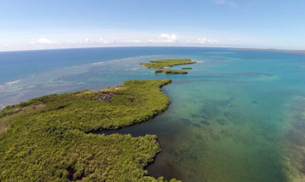 El DRNA anuncia la Semana de los Arrecifes de Coral con actividades y simposio educativo